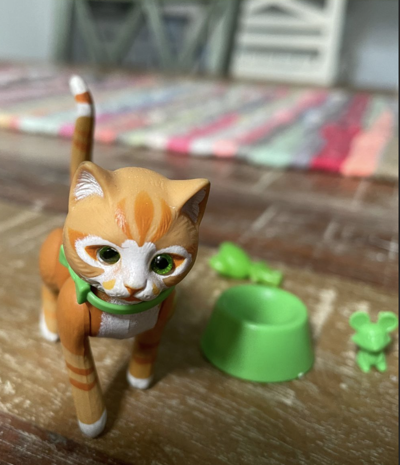 The Sunshine Family's pet cat